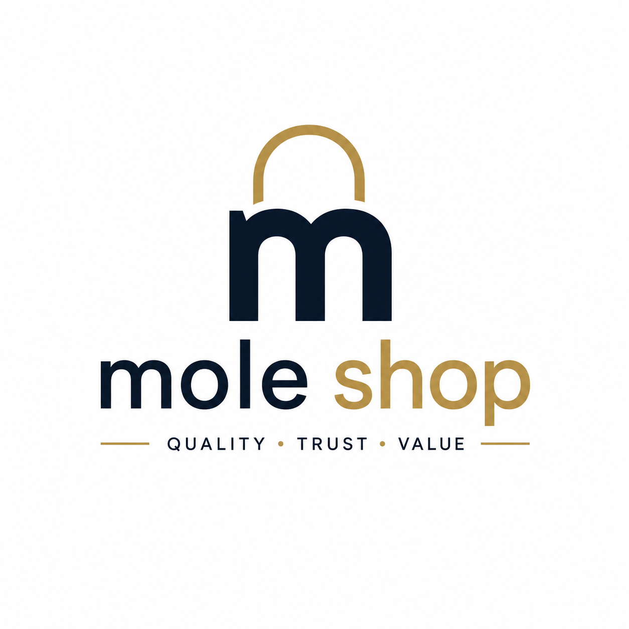 Mole Shop enterprise dashboard showing analytics and order management